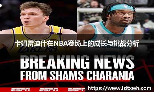 卡姆雷迪什在NBA赛场上的成长与挑战分析