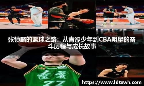 张镇麟的篮球之路：从青涩少年到CBA明星的奋斗历程与成长故事
