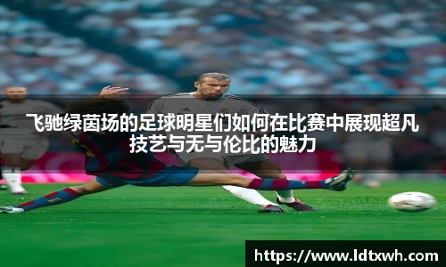 飞驰绿茵场的足球明星们如何在比赛中展现超凡技艺与无与伦比的魅力