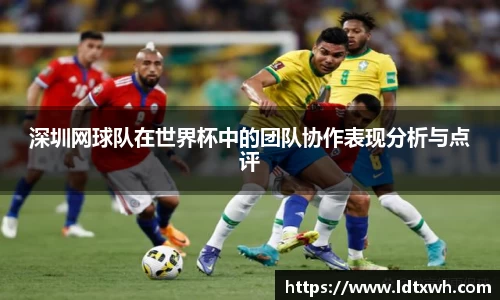 深圳网球队在世界杯中的团队协作表现分析与点评