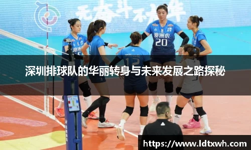 深圳排球队的华丽转身与未来发展之路探秘